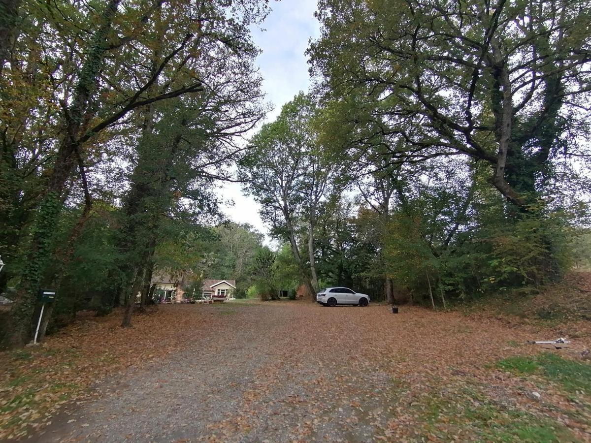 Du Botaniste Boissieres (Lot)